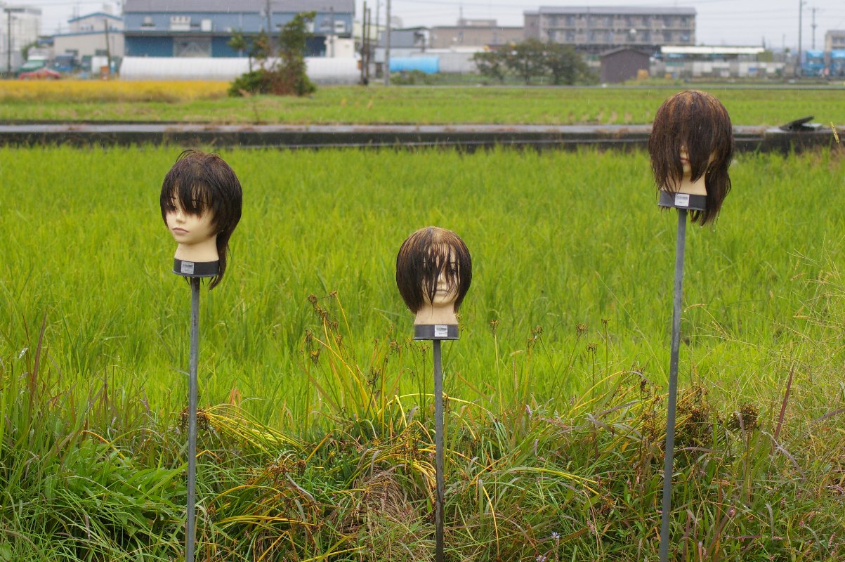 前から見たところ