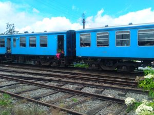 Train at Pattipola station, Sri Lanka